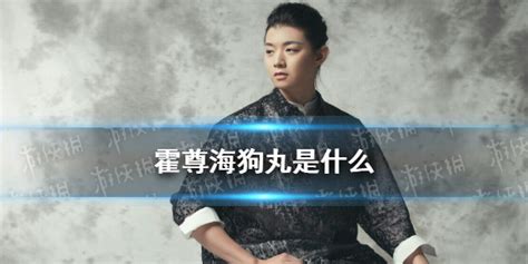 海狗丸服下多久起效,香港最好的日本海狗丸縮略圖