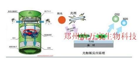 驅蚊燈是什么原理,驅蚊燈是什么原理驅蚊縮略圖