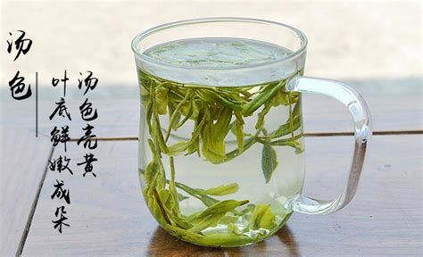 龍井茶圖片(龍井茶圖片真實照片)縮略圖