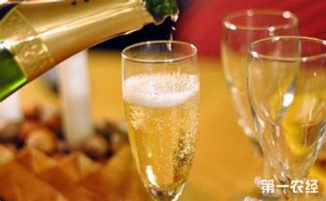 起泡酒有酒精度么,起泡酒有酒精度么嘛縮略圖
