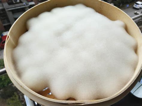 腐乳制作方法,腐乳制作方法家常做法縮略圖