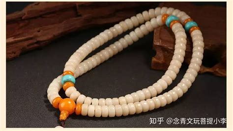 菩提根是什么東西(菩提根是什么東西它值錢嗎)縮略圖