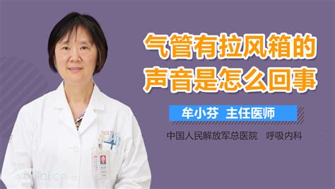 氣管有拉風箱的聲音(氣管有拉風箱的聲音吃什么藥物)縮略圖