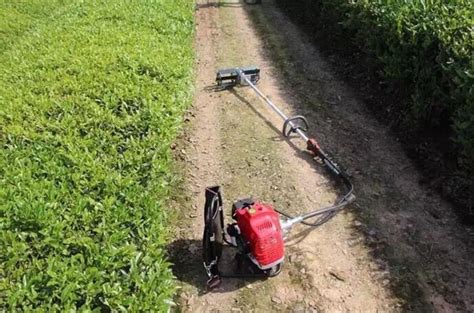 除草機多少錢一臺,充電除草機多少錢一臺縮略圖
