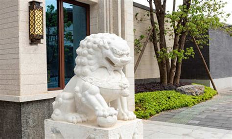 石獅子擺放十大忌諱(石獅子擺放十大忌諱圖片)縮略圖