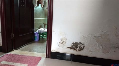 衛生間防水漏水不砸磚怎么處理,衛生間砸了幾塊磚怎么做防水縮略圖