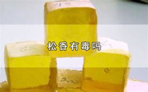 松香水有毒嗎對人體有什么危害(松香水有毒嗎)縮略圖