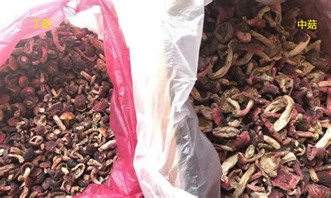 紅菇干怎么做才好吃(干紅菇怎么做好吃)縮略圖