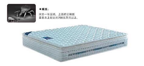床墊有螨蟲用什么方法處理好,床墊有螨蟲睡了皮膚是怎樣的縮略圖