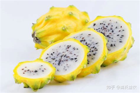 燕窩果圖片,燕窩果圖片大全大圖縮略圖