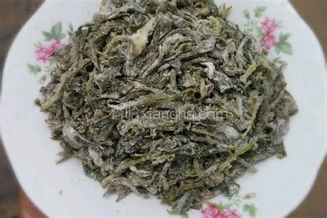 掃把苗,掃把苗的功效和作用縮略圖