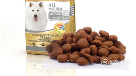 大型犬狗糧排名前十品牌,大型犬狗糧排名前十品牌有哪些縮略圖