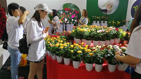 成都花店批發市場,成都花店批發市場在哪里縮略圖