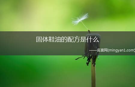 鞋油的成分(鞋油的成分跟護手霜一樣嗎)縮略圖 鞋油的成分(鞋油的成分跟護手霜一樣嗎)縮略圖