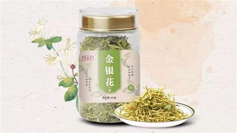 金銀花露的所有書(金銀花露的所有書字字珠璣)縮略圖 金銀花露的所有書(金銀花露的所有書字字珠璣)縮略圖