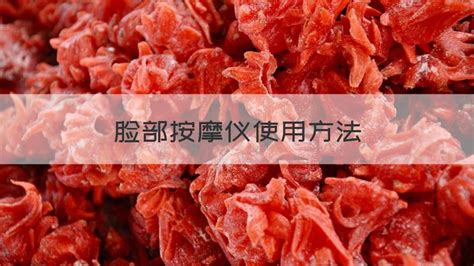 臉部清潔儀器使用方法,臉部清潔儀器哪個牌子好縮略圖