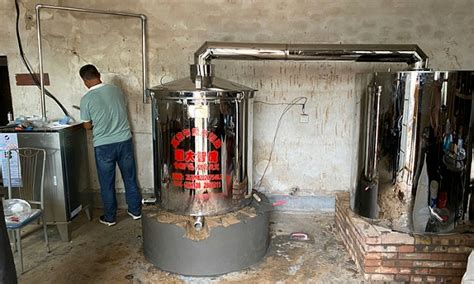 插電釀酒機(插電釀酒設備全自動)縮略圖