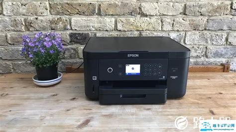 無線打印機哪個品牌好,無線打印機哪個品牌好適合家用縮略圖