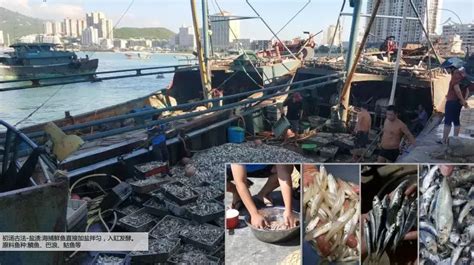 魚(yú)露致癌是真是假(魚(yú)露和蠔油是一樣嗎)縮略圖
