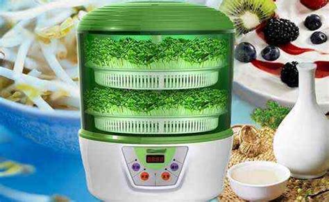 豆芽機器多少錢一臺,家用生豆芽機器多少錢一臺縮略圖