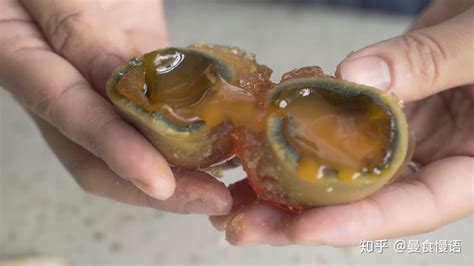 皮蛋姐的中日家庭,皮蛋姐的中日家庭2023年視頻縮略圖