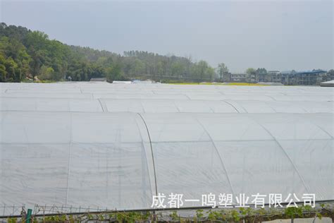 大棚膜廠家排名(山東大棚膜廠家排名)縮略圖