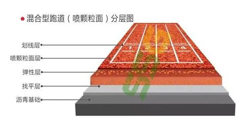 塑膠跑道施工工藝和方法(混合型塑膠跑道施工工藝和方法)縮略圖