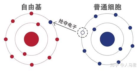 抗氧化劑使用的注意事項(抗氧化劑的正確使用方法)縮略圖