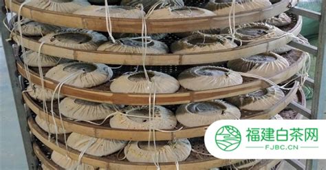 白茶的存放及保質期(白茶保質期多長時間)縮略圖 白茶的存放及保質期(白茶保質期多長時間)縮略圖