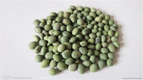 青豆是什么豆(青豆是什么豆剝出來的)縮略圖 青豆是什么豆(青豆是什么豆剝出來的)縮略圖