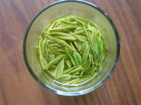 白茶(白茶的功效與作用)縮略圖 白茶(白茶的功效與作用)縮略圖