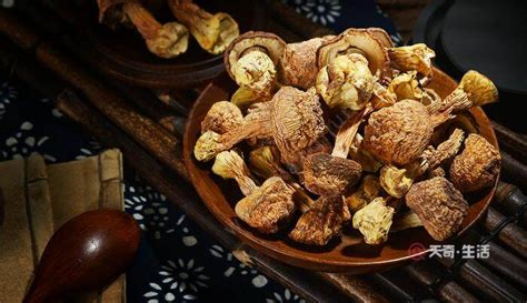 姬松茸干做法(姬松茸干做法大全)縮略圖