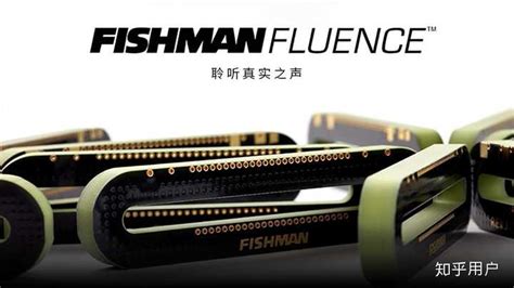 拾音器品牌排行(拾音器品牌排行榜)縮略圖 拾音器品牌排行(拾音器品牌排行榜)縮略圖