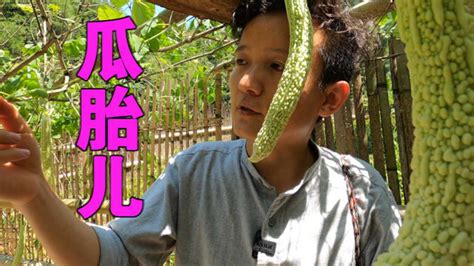 水果獵人楊曉洋(水果獵人楊曉洋直播)縮略圖 水果獵人楊曉洋(水果獵人楊曉洋直播)縮略圖