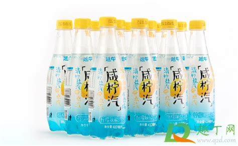 鹽汽水屬于碳酸飲料嗎(鹽汽水屬于碳酸飲料嗎?)縮略圖 鹽汽水屬于碳酸飲料嗎(鹽汽水屬于碳酸飲料嗎?)縮略圖