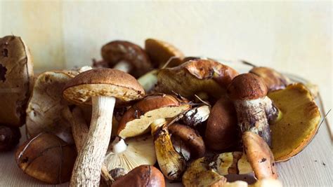 姬松茸和什么煲湯最佳(姬松茸和什么煲湯最佳咳嗽)縮略圖