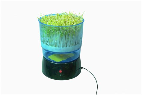 豆芽機怎么發豆芽的全部流程(豆芽機怎么發豆芽的全部流程視頻)縮略圖 豆芽機怎么發豆芽的全部流程(豆芽機怎么發豆芽的全部流程視頻)縮略圖