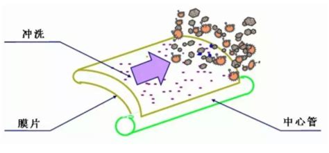反滲透膜清洗步驟(凈水器反滲透膜堵了怎么清洗)縮略圖 反滲透膜清洗步驟(凈水器反滲透膜堵了怎么清洗)縮略圖