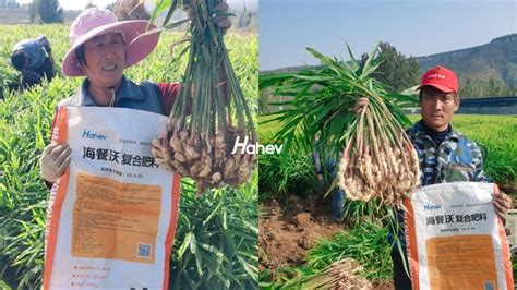 水溶肥廠家,水溶肥廠家直銷縮略圖 水溶肥廠家,水溶肥廠家直銷縮略圖