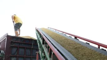 稻谷烘干機操作視頻大全,稻谷烘干機干燥機設備縮略圖