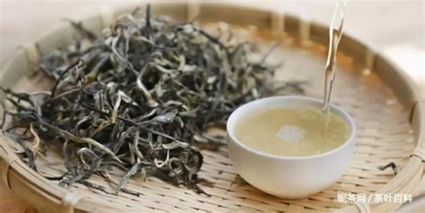 涼茶荒野(涼茶荒野兄弟)縮略圖