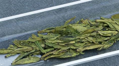 綠茶是指什么樣的人?(綠茶是指什么樣的人? 新聞)縮略圖