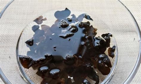 木耳泡發多久會中毒(木耳泡發多久會中毒癥狀)縮略圖