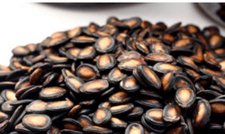 西瓜子功效與作用(西瓜子功效與作用營養價值)縮略圖