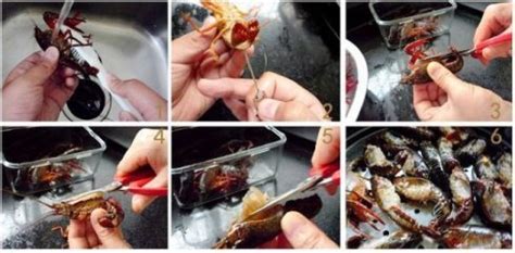 小龍蝦怎么收拾才干凈(小龍蝦怎么收拾才干凈視頻教程)縮略圖
