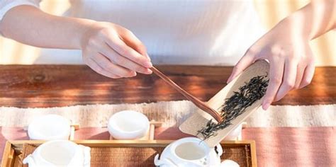 鐵觀音的正確沖泡方法,鐵觀音的正確沖泡方法視頻教程縮略圖