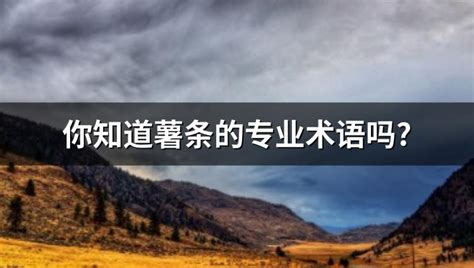 薯條英文怎么讀(薯條英文怎么讀啊)縮略圖