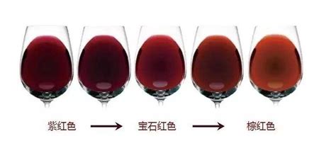 進口紅酒和國產紅酒的區別在哪里(原裝進口紅酒和國產紅酒如何區別)縮略圖