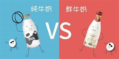 鮮奶和純牛奶哪個更有營養(鮮奶和純牛奶哪個更有營養呢)縮略圖