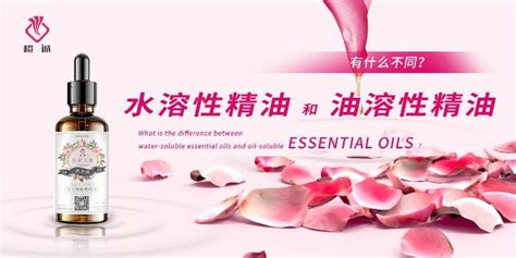 水油平衡的精油,水油平衡的精油怎么使用縮略圖